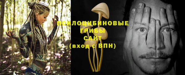 прущий лед Арсеньев