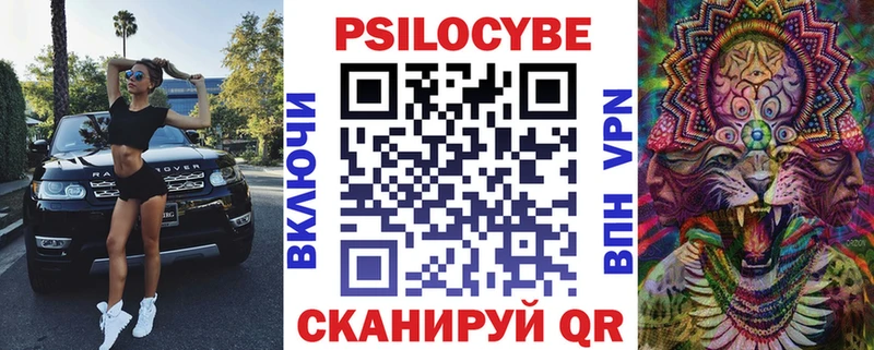 кракен маркетплейс  Волгоград  Псилоцибиновые грибы Cubensis 